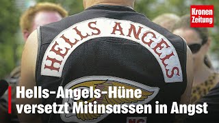 In Wiener Häfn HellsAngelsHüne versetzt Mitinsassen in Angst  kronetv NEWS [upl. by Lilyan]