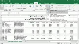 How to Freeze Panes in Microsoft Excel Rows amp Columns [upl. by Nae]