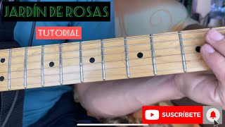 Tutorial jardín de Rosas  Grupo Rojo  Solo de Guitarra [upl. by Nitsua980]