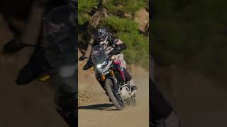 Triumph Tiger 900 Off Road trailadventure triumph 900 [upl. by Avaria]