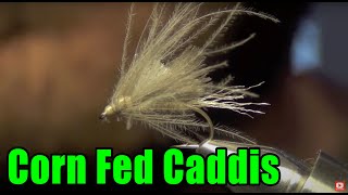 Corn Fed Caddis Fly Tying Directions [upl. by Loraine]