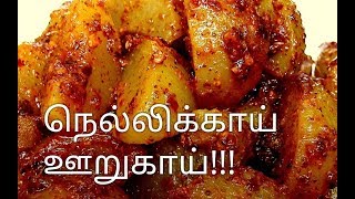 How to make Gooseberry  Nellikai  Amla Pickleநெல்லிக்காய் உறுக்காய் [upl. by Merl]