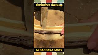 Wooden Chair Making Technique  kannada facts karnataka amazing youtubeshorts trendingshorts [upl. by Apicella]