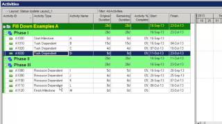 Primavera P6 Fill Down Tips [upl. by Amikay]