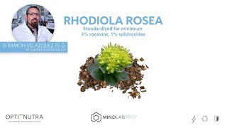 Rhodiola Rosea with Dr Ramon Velazquez PhD  Mind Lab Pro® [upl. by Maziar]