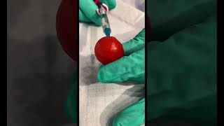 Board Certified Plastic Surgeon Sean Doherty shows what filler does to a tomato [upl. by Sybyl]