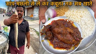 इस देश में कबूतर का मीटसांप मछलीबकरे का मुंडा सब खातेPigeon CurryUnique NonvegZaika Patna Ka [upl. by Theurich743]