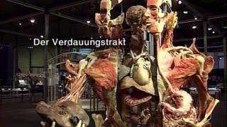 Körperwelten von Prof Gunther von Hagens [upl. by Honebein]