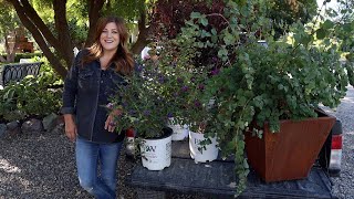 Planting Sun Loving Shrubs Butterfly Bush Ninebark amp Coralberry 💚🌿💚  Garden Answer [upl. by Adnorehs755]