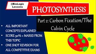 Photosynthesis part II Carbon fixation reactionThe Calvin Cycle [upl. by Atauqal]