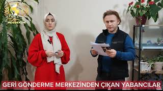 GERİ GÖNDERME MERKEZİNE GÖNDERİLEN YABANCILAR [upl. by Elleirbag]