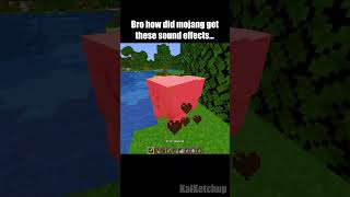 Minecraft meme [upl. by Eohce]