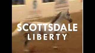 Scottsdale Arabian Horse Show Liberty Finals [upl. by Ail314]