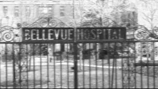 Bellevue Psychiatric Hospital [upl. by Syxela]