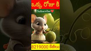 ఒక్క రోజుకి ఎన్ని పూచ్చకాయలు తింటున్నామో 🤔🤔 Shorts honeydew facts viral [upl. by Emmott]