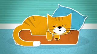 Cat Purring Sounds 🐱 with White Noise 🐈 10 Hours Kitten for Sleep or Relaxation [upl. by Cooley]