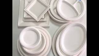 Disposable Compostable Sugarcane Bagasse Biodegradable Plates [upl. by Kora802]