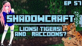 Lions Tigers and Raccoons  ShadowCraft  Ep 57 [upl. by Halverson]