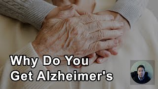 Why Do You Get Alzheimers And Why Has It Been So Difficult To Treat  Dale Bredesen MD [upl. by Nitaf]