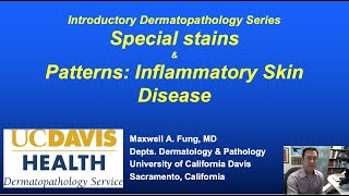 DERMATOPATHOLOGY Special Stains amp Patterns of Inflammatory Skin Diseases [upl. by Lucia646]