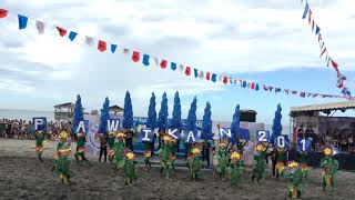 Pawikan Festival 2018 Provincial Level MARIVELES BATAAN [upl. by Burrows]