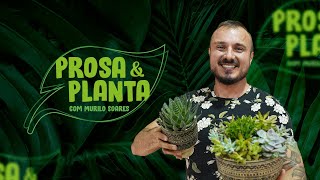 PROSA amp PLANTA COM MURILO SOARES I EPISÓDIO005 [upl. by Zed]