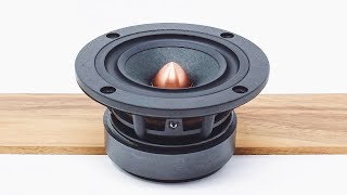 The Best Driver For Your First DIY Speaker Build  Dayton Audio PS95 Point Source Driver Review [upl. by Formica794]