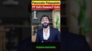 Pancreas PP Cells  Gamma Cells  F Cells  Pancreatic Polypeptide [upl. by Barthelemy170]