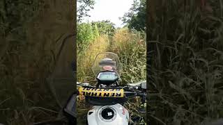 Tall grass no road 🤔 tallgrass trails motorcycleride offroads youtubeshorts shorts [upl. by Blanc]