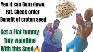 How I lose Belly Fat With Croton seed Lose weight fast 15kg in 2weeksMagical seedGet sexy again [upl. by Esahc]