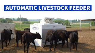 Hanen Automatic Cattle amp Livestock Feeders [upl. by Creighton]