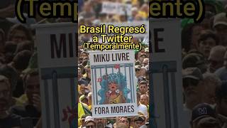 Brasil REGRESÓ A TWITTER Temporalmente [upl. by Cadman43]