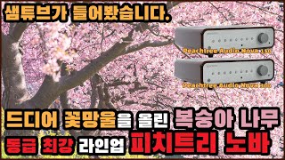 캐나다 작사 미국 작곡 피치트리 오디오가 드디어 소리를 들려드립니다 노바 150과 300 나란히 비교해봤습니다 [upl. by Kenji]