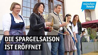 Spargelsaison eröffnet  Preise werden steigen [upl. by Ybbob]