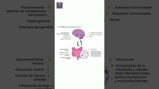 ¿Sabías que tu intestino es el quotsegundo cerebroquot 🧠💡 bienestar neurociencia neurologia [upl. by Koppel]