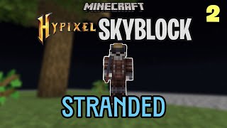 Making Progress in Stranded  Hypixel Skyblock  2 [upl. by Haland149]