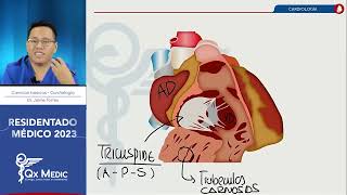 Cardiología  Ciencias Básicas [upl. by Scheld]