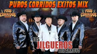 Los Jilgueros Del Arroyo Mix Para Pistear  Puros Corridos Mix 2024 [upl. by Neffirg]