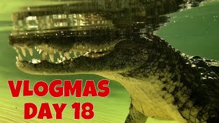 Nile Crocodile Picnic VLOGMAS Day 18 [upl. by Nolyak]