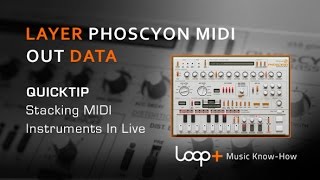 D16 Phoscyon Tutorial  Midi Routing [upl. by Caspar385]