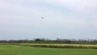 My Phoenix Stinson Reliant with the Saito FG19R3 engine Another takeoff and some flying [upl. by Boone]