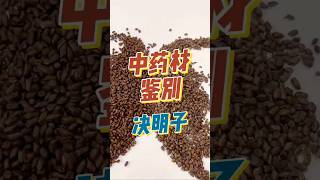 决明子鉴别，真假决明子 决明子 决明子菊花茶 决明子茶 中药材 中药材鉴别 [upl. by Ranson]