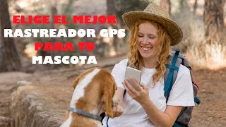 Descubre los mejores rastreadores GPS para animales GPSparaAnimales RastreoMascotas CalidadPrecio [upl. by Heinrike255]