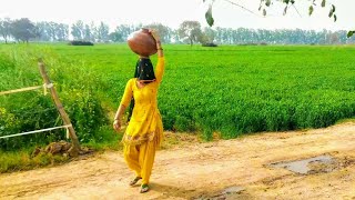 VILLAGE LIFE HARYANA गांव की ज़िन्दगी AMIT BOSS [upl. by Assele946]