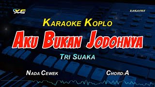 AKU BUKAN JODOHNYA KARAOKE KOPLO NADA CEWEK [upl. by Allimak]