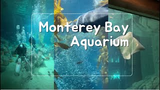 Monterey Bay Aquarium in Monterey California [upl. by Harlie]