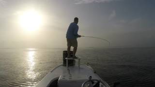 Fly fishing for Tarpon in Homosassa FL 52017 [upl. by Rolat]