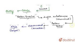 RESPONSE OF PLANTS TO CHEMICAL CHEMOTROPISM [upl. by Eidoj]