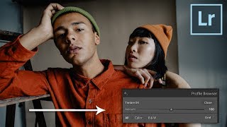 Edit Your Photos w LUTS in Lightroom  Preset Intensity Slider [upl. by Naliorf829]