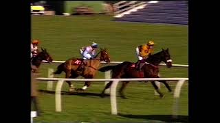 1994 Velka Pardubicka Grimthorpe Handicap Chase [upl. by Kcirrej523]